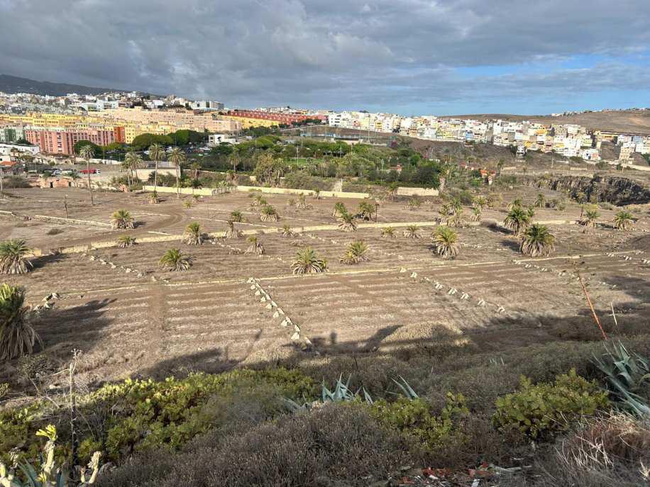 El Ayuntamiento adquiere mas de 75.000 metros cuadrados en La Mayordomia Las Palmas erwirbt mehr als 75.000 Quadratmeter in La Mayordomía für den Grünkorridor Tamaraceite-Ciudad Alta