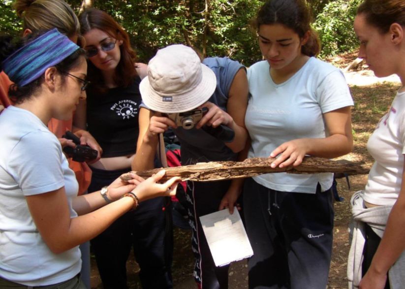 actividad en la naturaleza Umwelterziehungsprogramm für Schulkinder in La Orotava